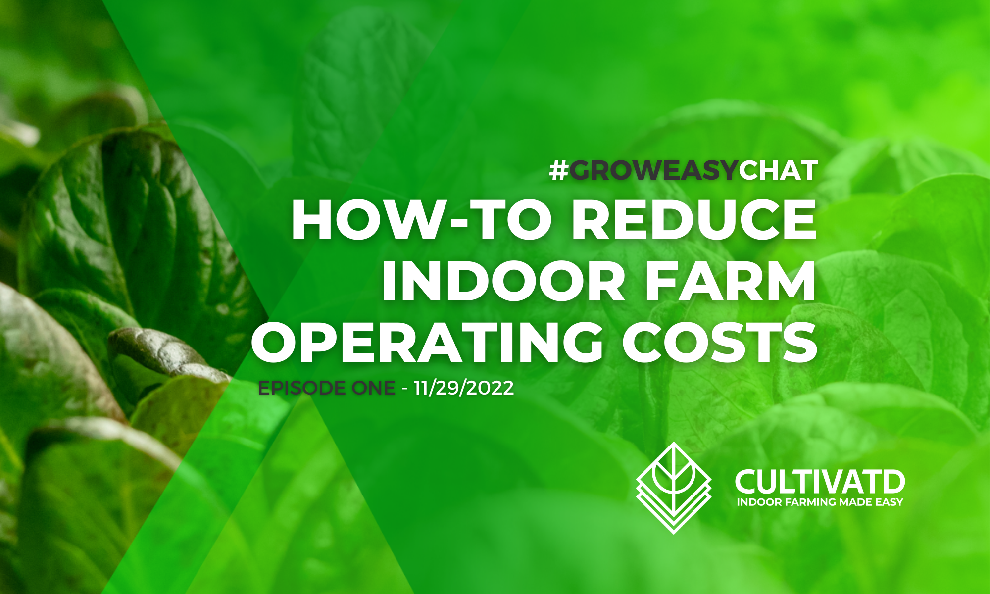 how-to-reduce-indoor-farm-operating-costs-hortimedia